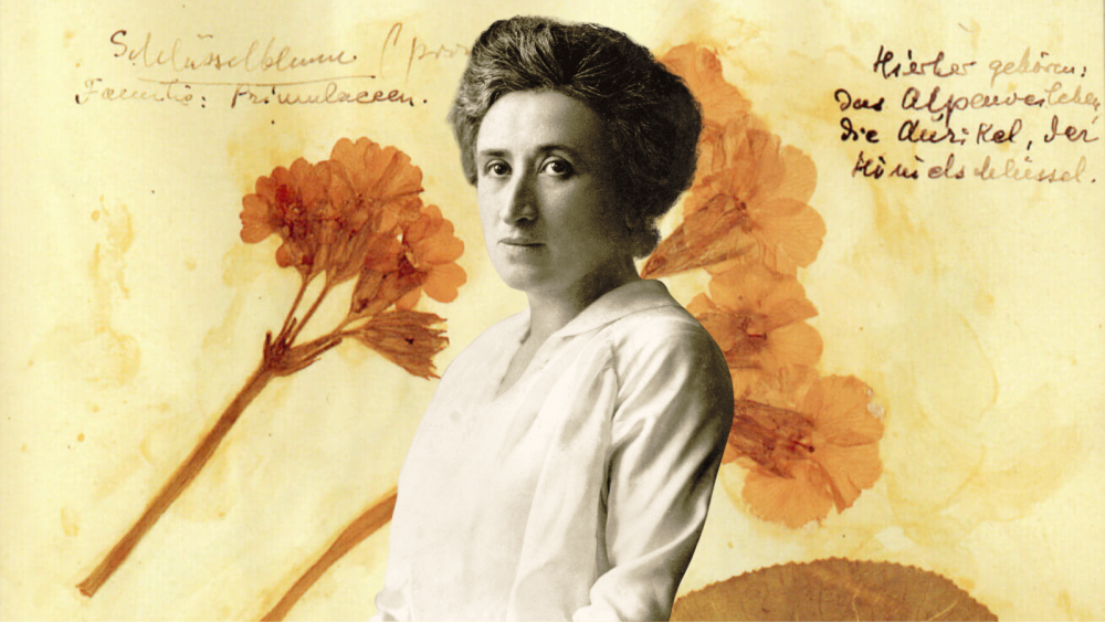A revolucionária escritoria polonesa Rosa Luxemburgo